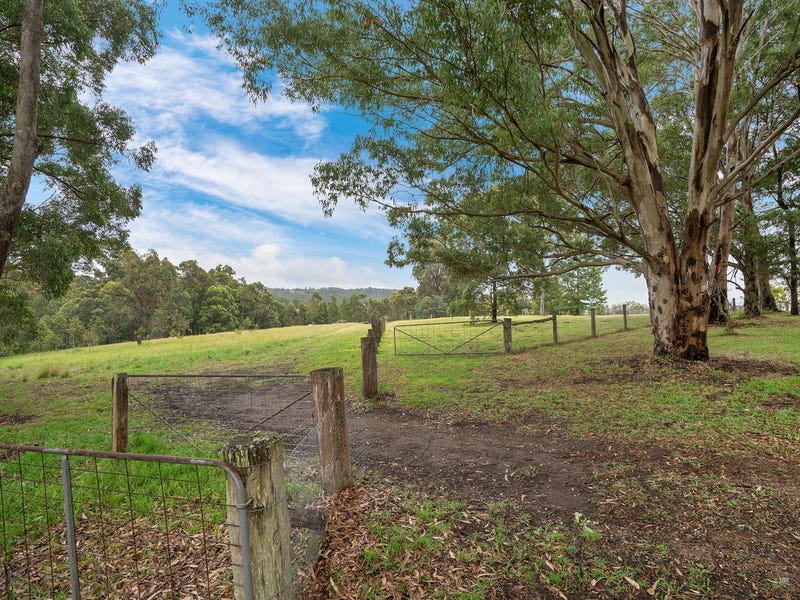 73 Rodney Road, Mount Vincent, NSW 2323 Lifestyle for Sale