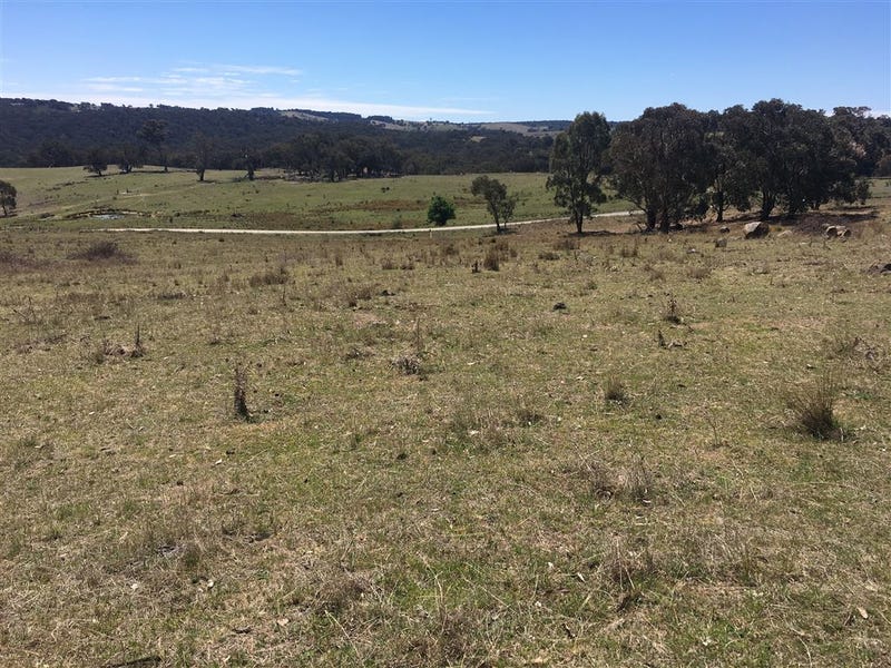 Lot 1, 60 Beechworth Road Hargraves, Mudgee, NSW 2850 Property Details