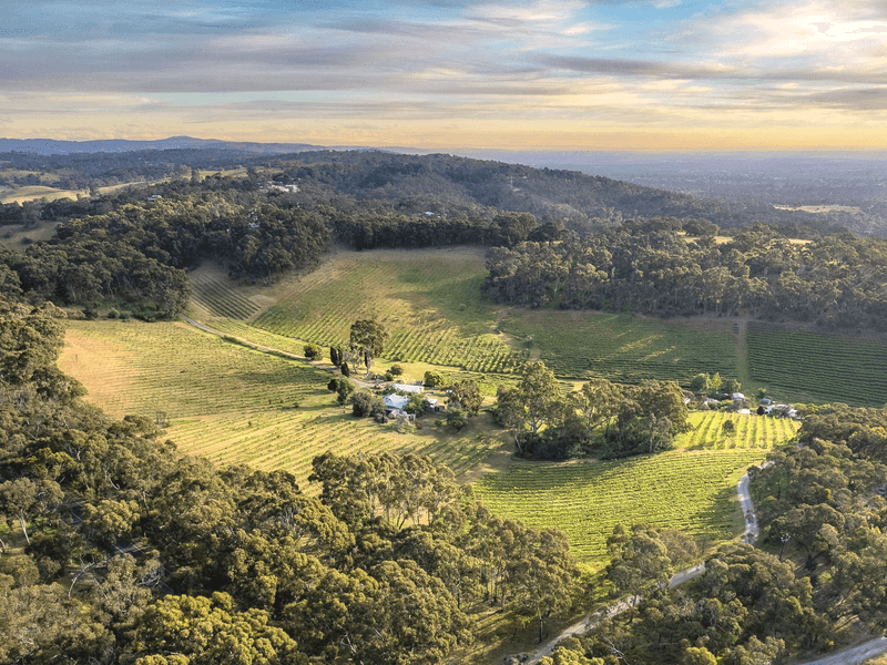 355 Range Road N, Upper Hermitage, SA 5131