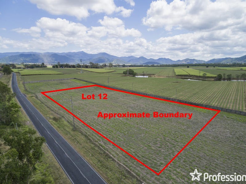 4206 Mackay Eungella Road, Pinnacle, QLD 4741