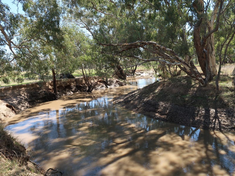 Rural properties for Sale in East Wagga Wagga, NSW 2650