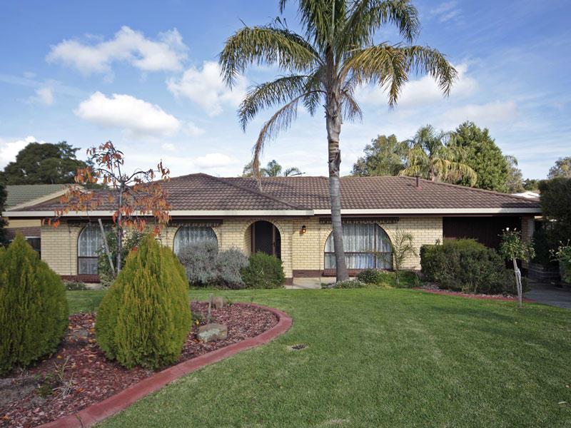 12 Plover Avenue, Modbury Heights, SA 5092