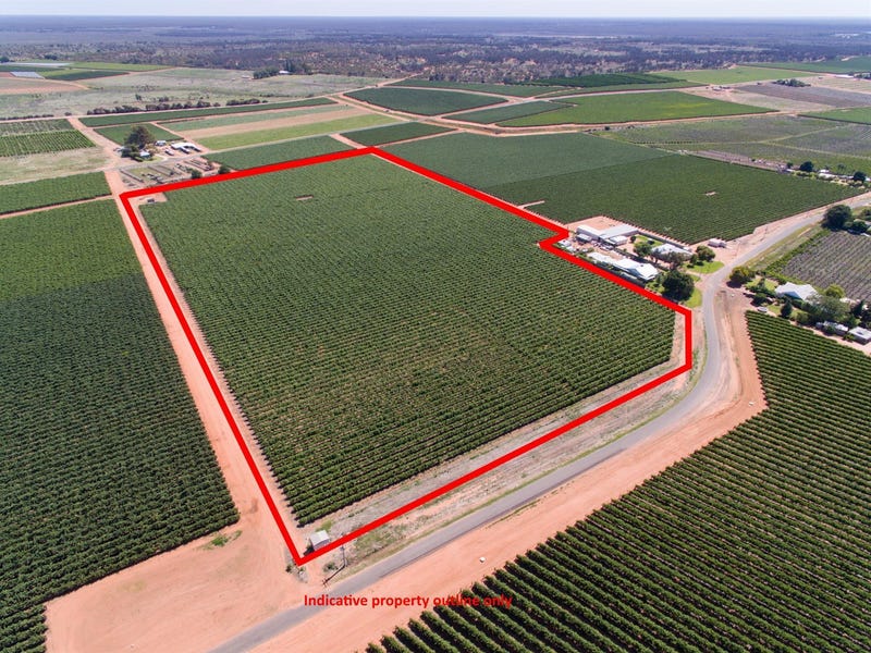 Lot 1133 Merindah Road, Dareton, NSW 2717 Property Details