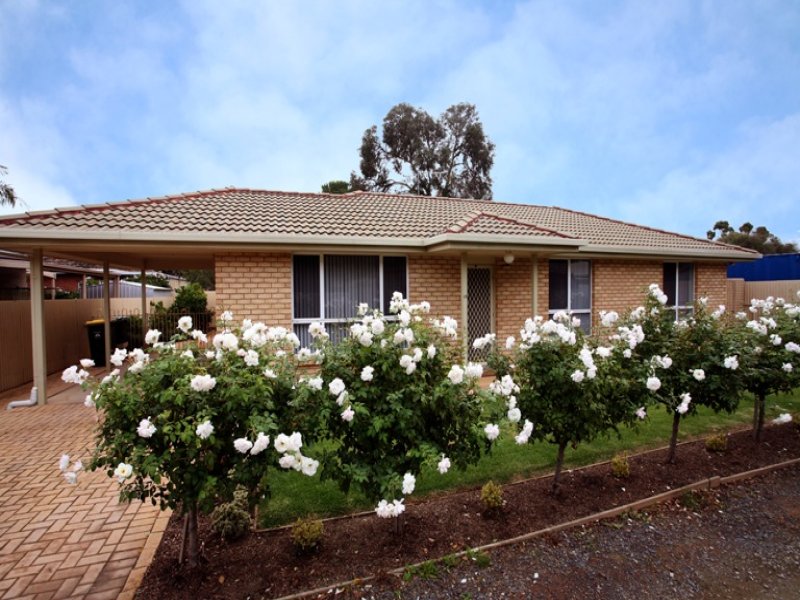 1A Tait Ave, Marion, SA 5043 Property Details