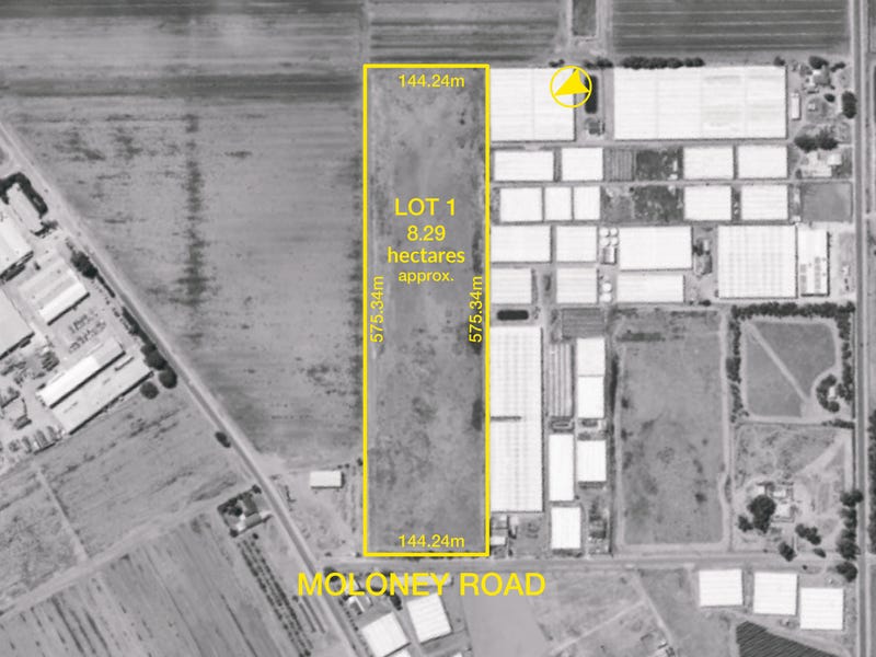 Real Estate & Property for Sale in SA Pg. 8