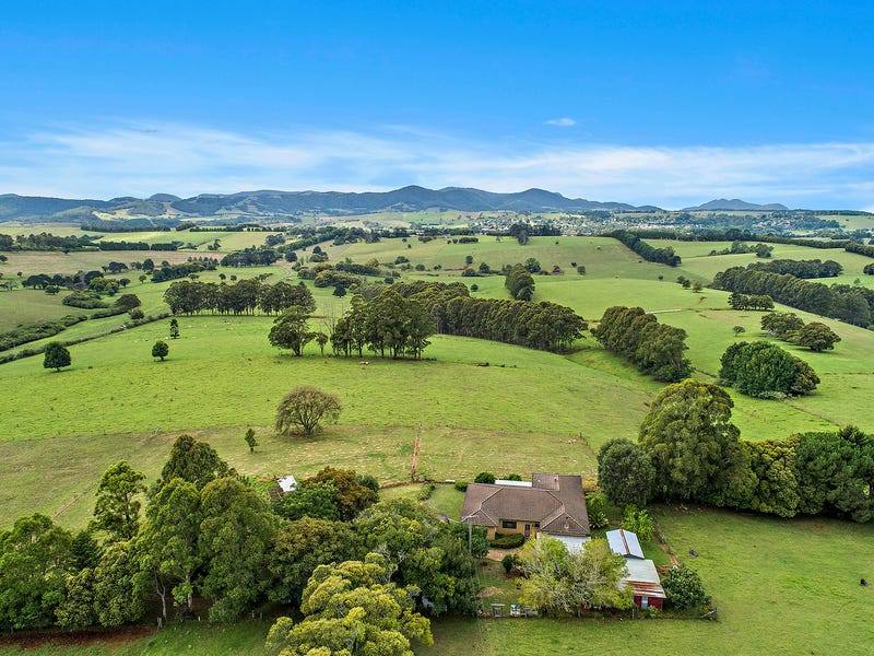 147 Old Coast Road, Dorrigo, NSW 2453 Lifestyle for Sale