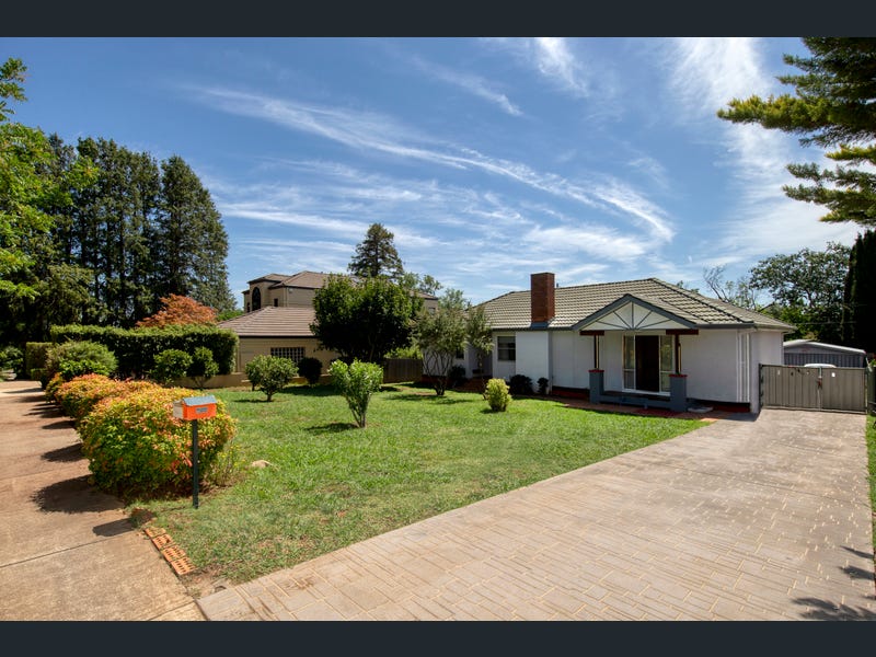 19 Hodgkinson Street, Griffith, ACT 2603 House for Rent realestate