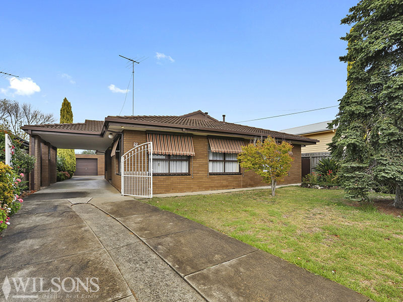 22 Wilton Avenue, Vic 3219