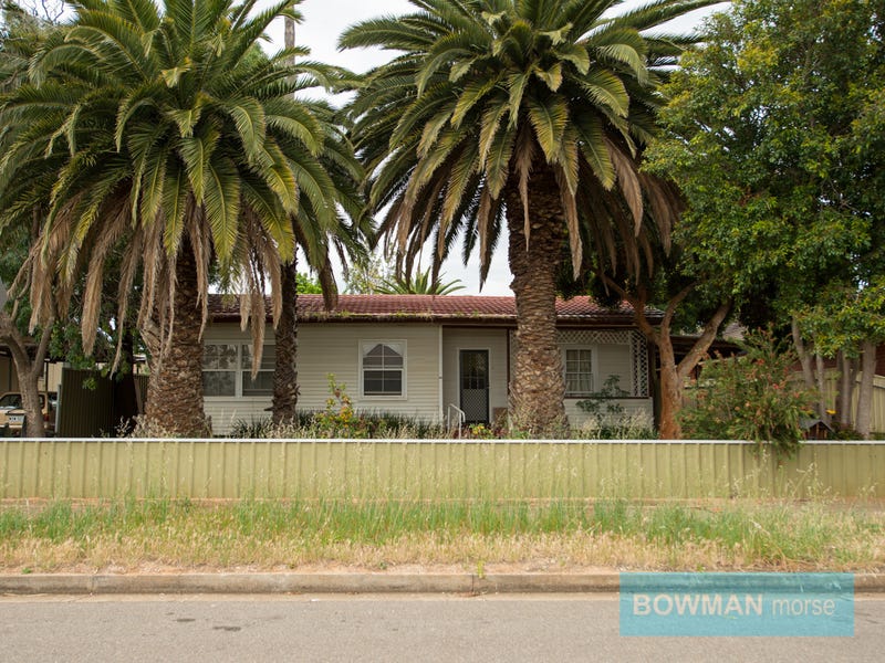 24 Scott Avenue, Clovelly Park, SA 5042