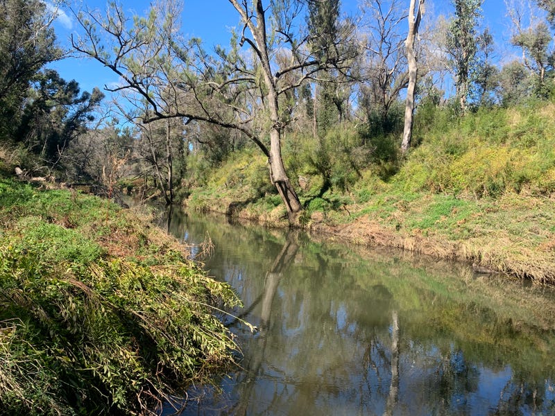 1715 Kangaroo Flat Road, Yarrowitch, NSW 2354