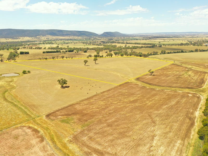 Real Estate & Property for Sale in Young Greater Region, NSW Pg. 3