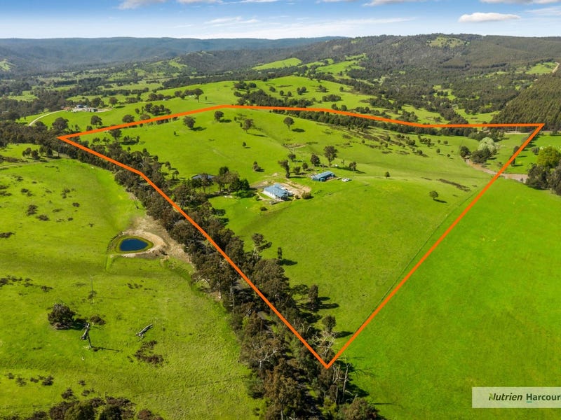 260 Clonbinane Road, Clonbinane, VIC 3658