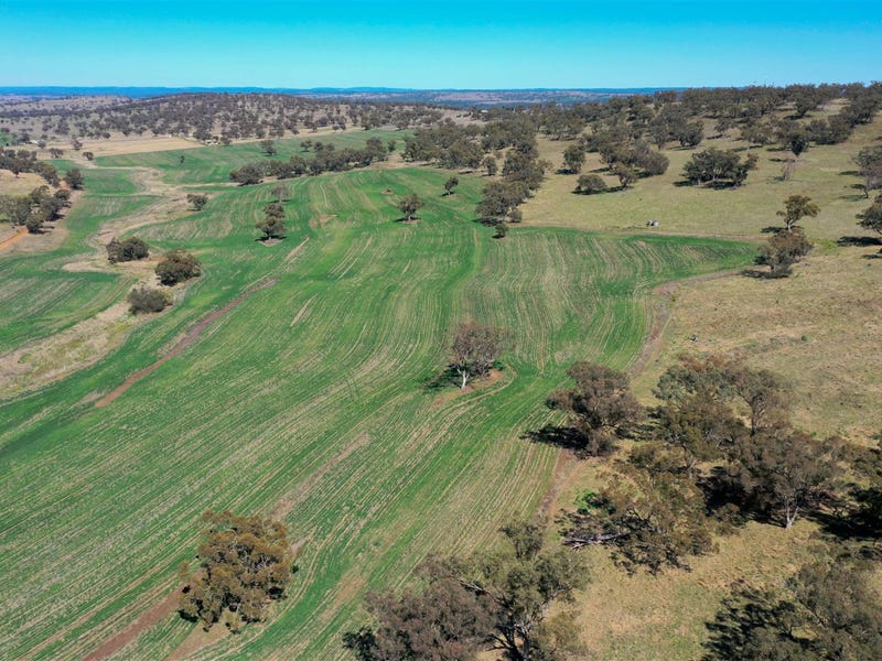 'Valley View' Racecourse Road, Cassilis, NSW 2329 Property Details