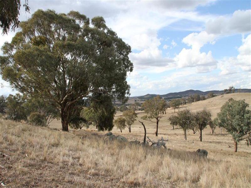 525 Murrumbateman Road, Murrumbateman, NSW 2582