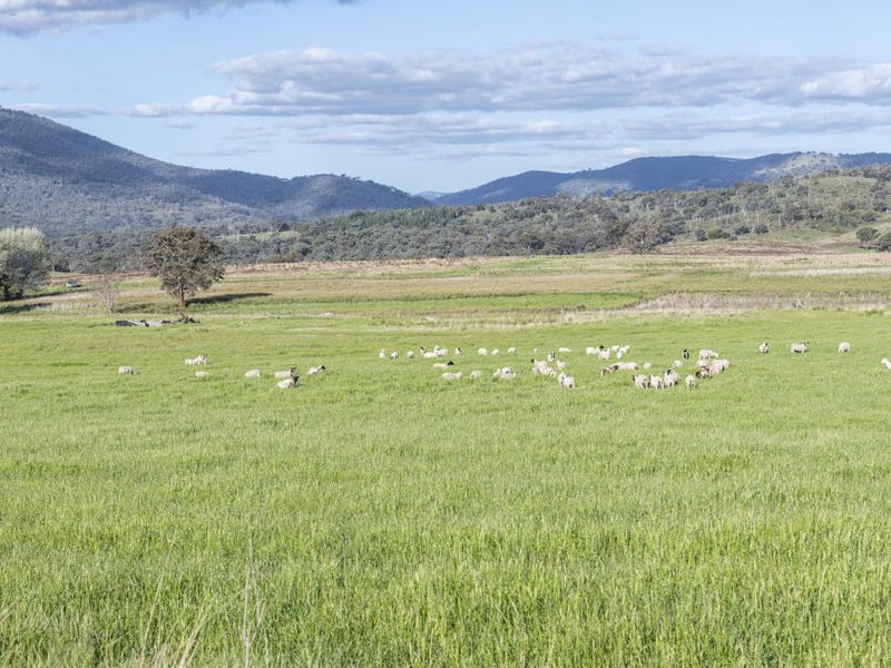 Bullen Basin Freemantle Road, Bathurst, NSW 2795 - Mixed Farming for Sale - realestate.com.au Bullen Basin  Freemantle Road... 