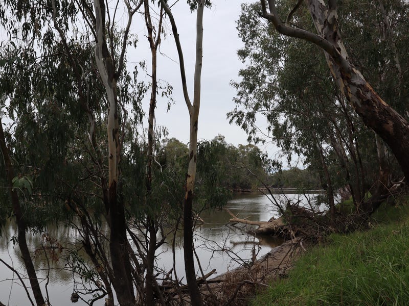 145 River St, Corowa, NSW 2646 House for Sale