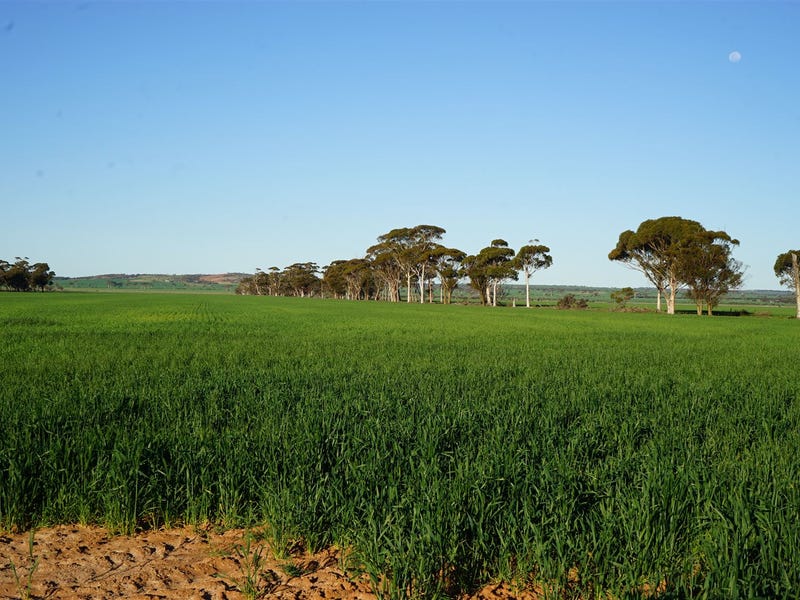 543 Nungarinwyalkatchem Road, Kwelkan, WA 6490