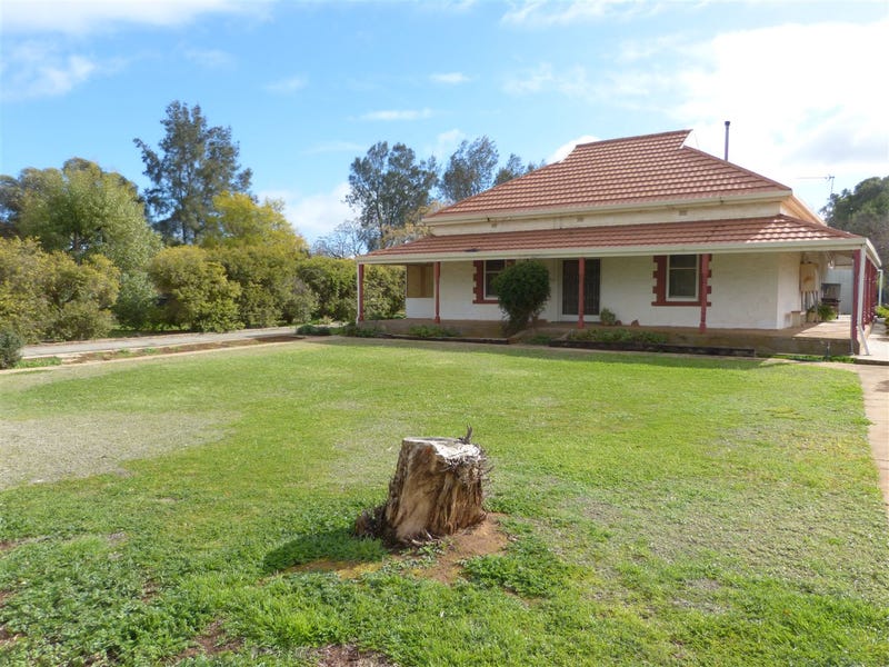 4643 Wilkins Highway, Jamestown, SA 5491 Property Details