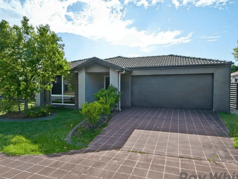 15 Wallum Close, Carseldine, QLD 4034