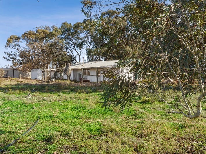 78 Clements Road, Cobdogla, SA 5346 Other for Sale