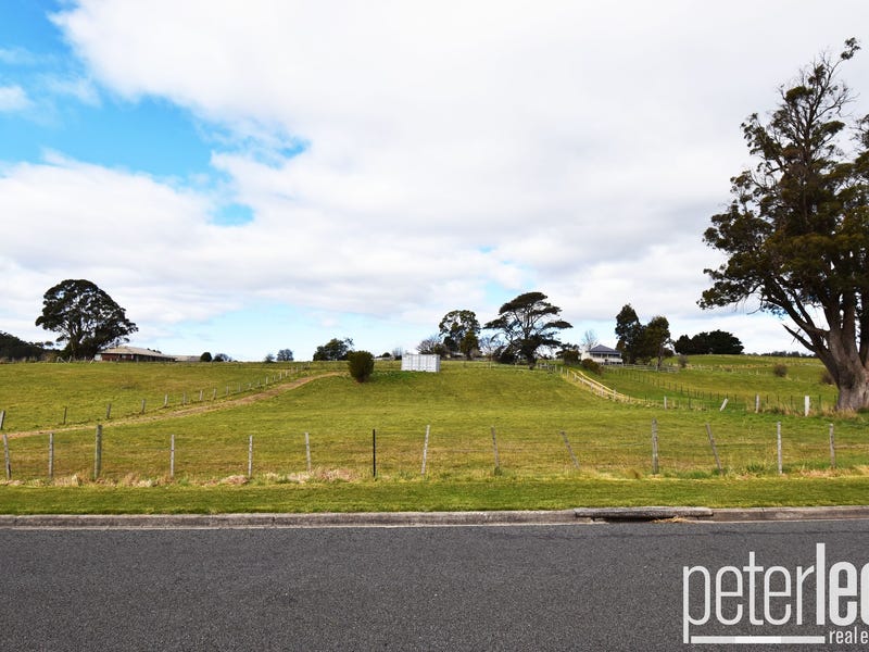 29 Caveside Road, Mole Creek, TAS 7304