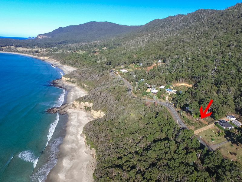 74 Blowhole Road, Eaglehawk Neck, Tas 7179 Residential Land for Sale