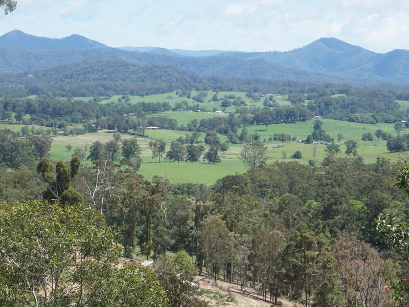 225 South Arm Road, South Arm, NSW 2449