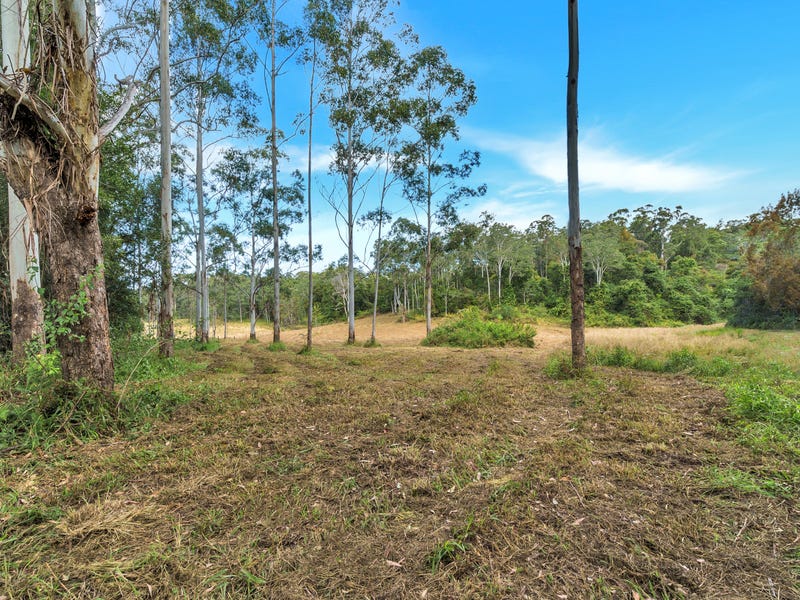 59 Basin Road, Brierfield, NSW 2454 Lifestyle for Sale realestate