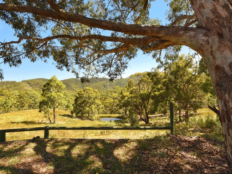 Sir Thomas Mitchell Reserve