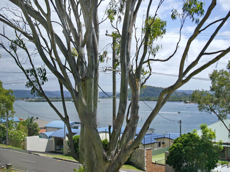 441 ORANGE GROVE RD, Blackwall, NSW 2256 Property Details