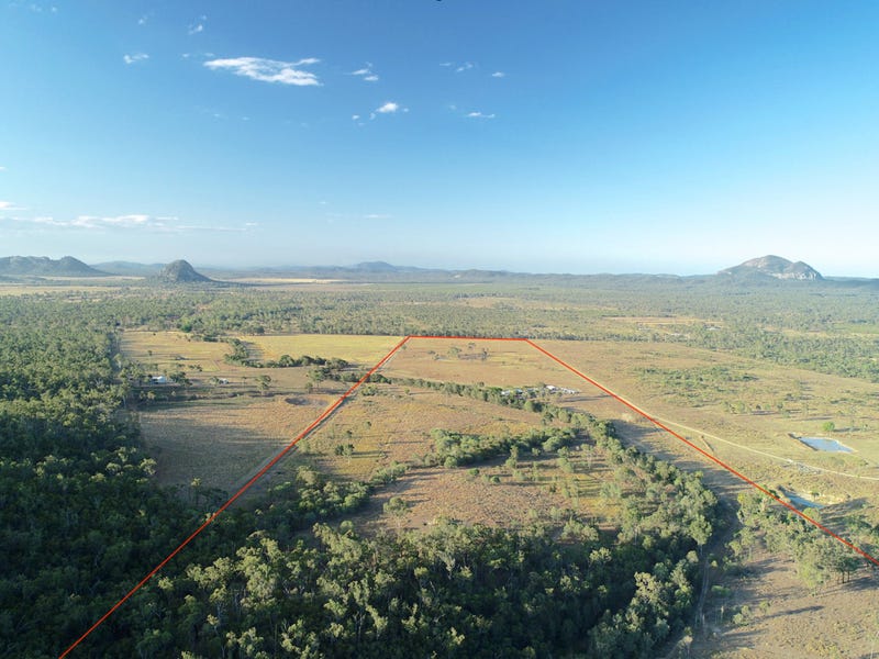 202 Dairy Inn Road, Cawarral, Qld 4702 Livestock for Sale