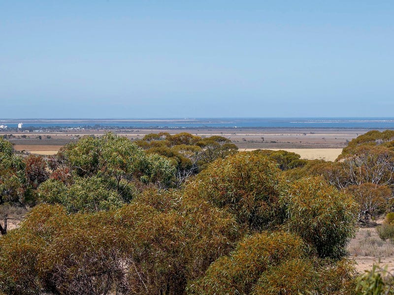 255 Birdseye Highway, Cowell, SA 5602 House for Sale