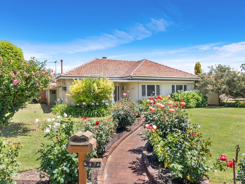 42 Swan View Terrace, Maylands, WA 6051