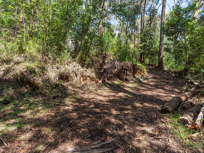 81 Riverside Drive, Warburton, VIC 3799 - realestate.com.au