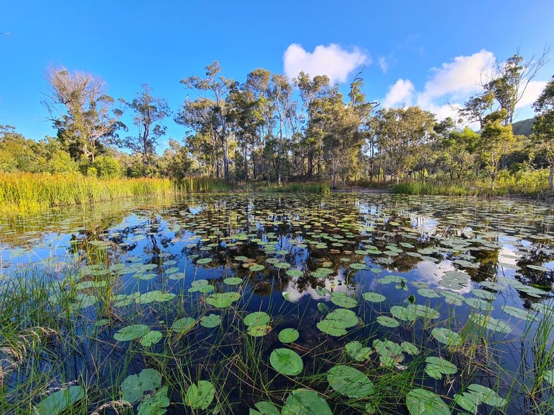 131 Seabreeze Court, Deepwater, Qld 4674 Property Details