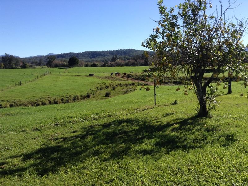 256 Waterfall Way, Raleigh, NSW 2454