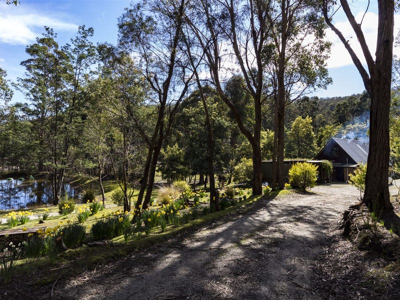 1300 Browns Creek Road, Bakers Beach, TAS 7307