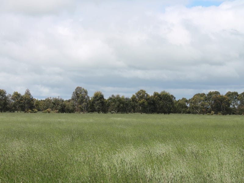 285 Swan Marshstonyford Road, Swan Marsh, VIC 3249