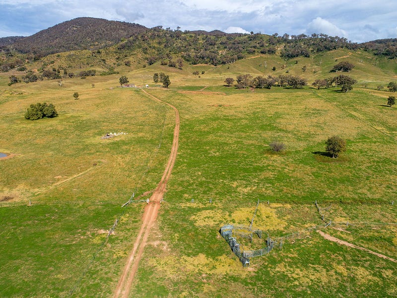 690 Queens Pinch Road, Mullamuddy, NSW 2850