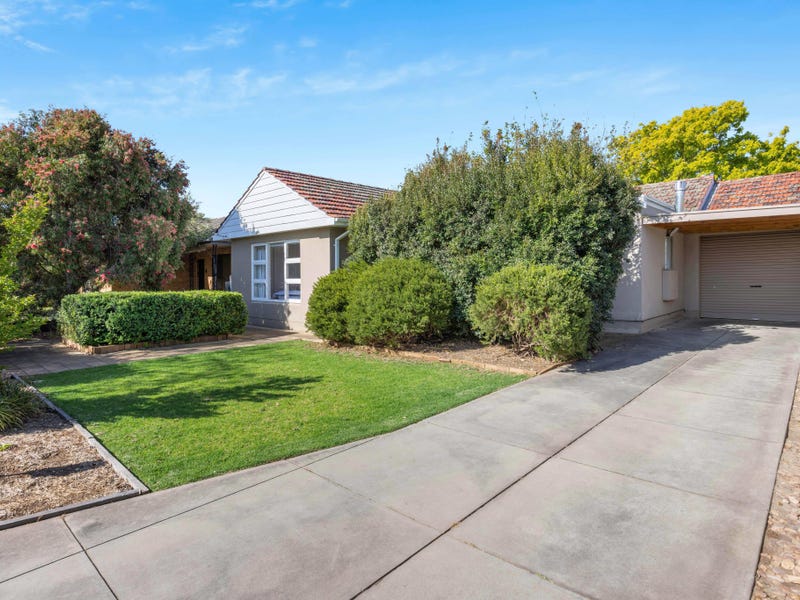 53 Lasscock Ave, Lockleys, SA 5032 Property Details