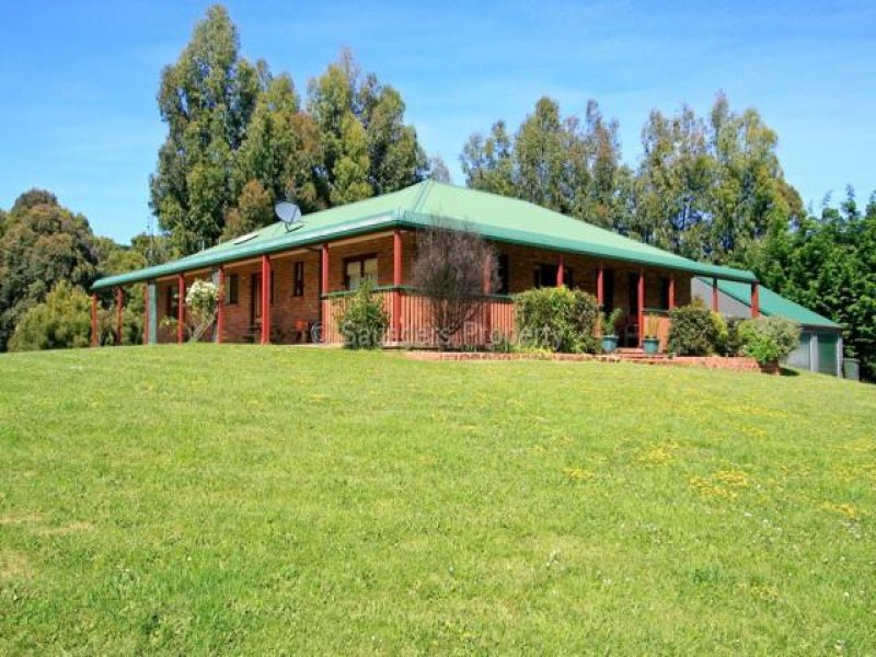 435 Preolenna Road, Flowerdale, TAS 7325