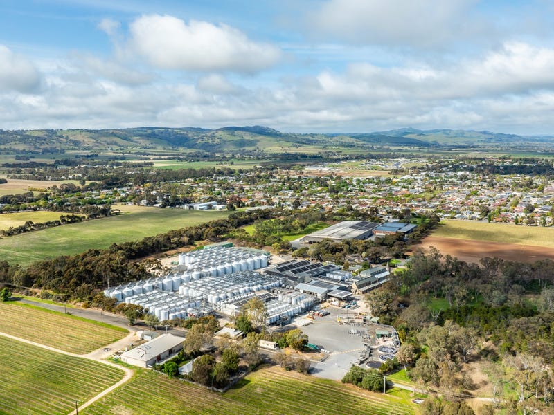 21 Para Road Tanunda SA 5352 Viticulture vineyard for Sale realestate