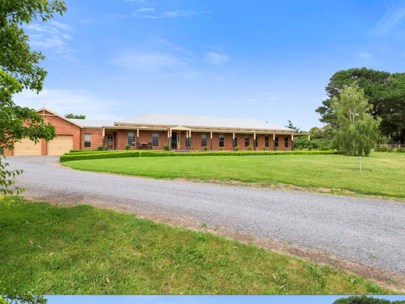 15 Park Avenue, Camperdown, VIC 3260