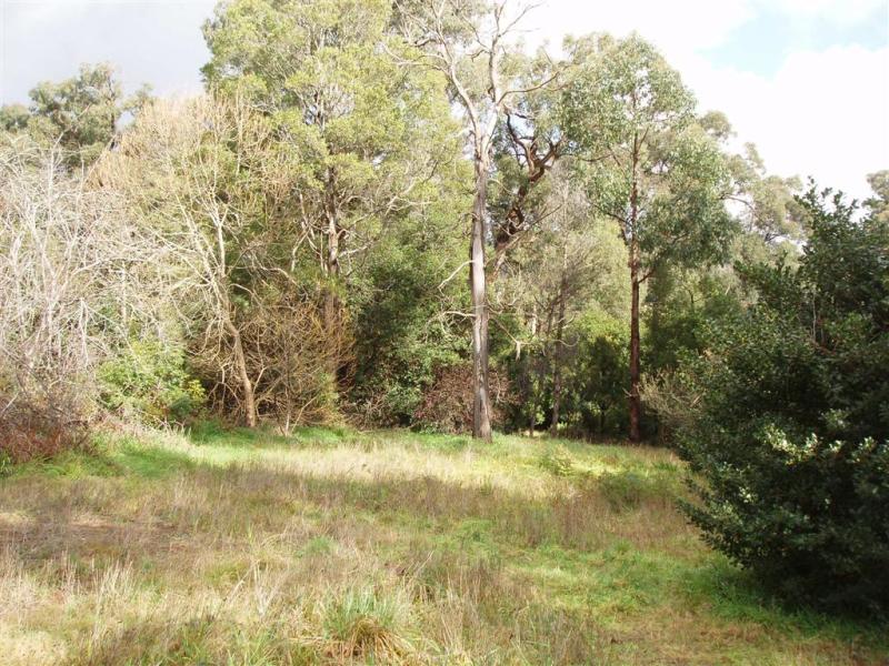 477 Monbulk Road, Monbulk, Vic 3793 - realestate.com.au