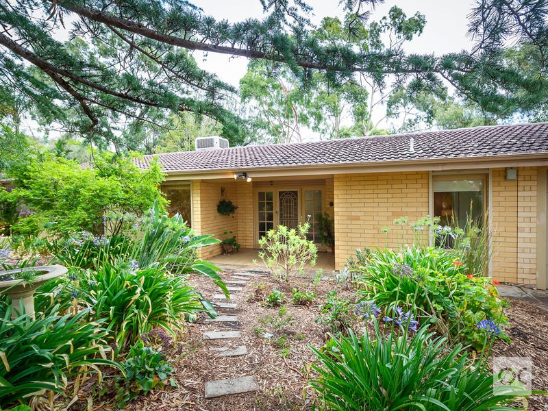 59 Braemar Road, Torrens Park, SA 5062