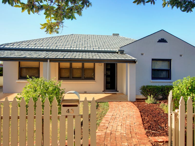 43 Wodonga Avenue, Loxton, SA 5333 Property Details