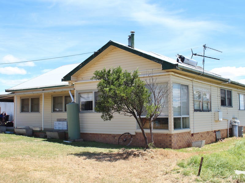 558 Sherwood Road, Rushes Creek, NSW 2346