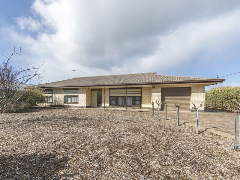 7 Samuel Road, Nuriootpa, SA 5355 Property Details