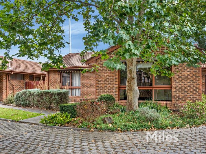 5/49 Belmont Road, Ivanhoe, VIC 3079