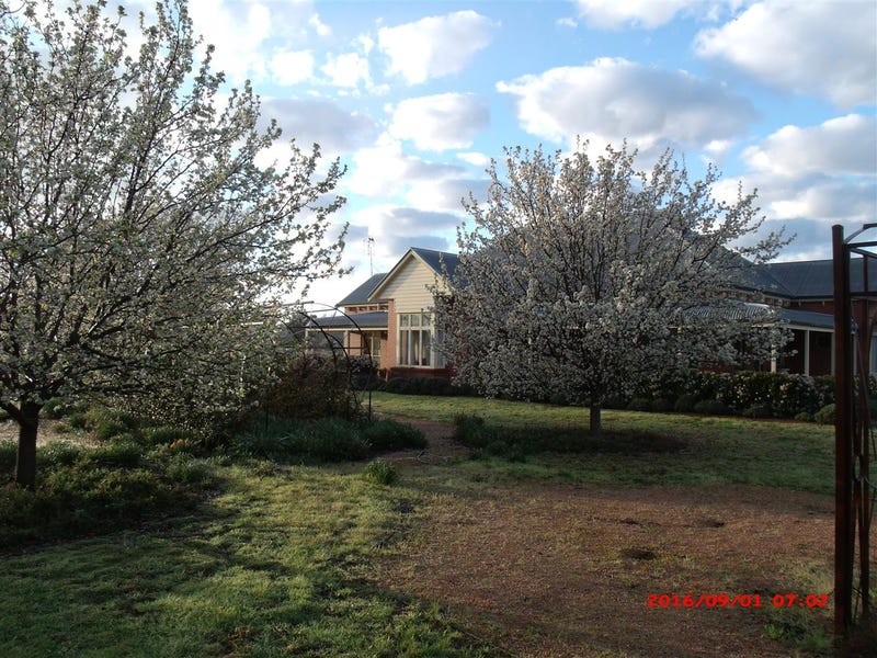 135 Nash Street, Parkes, NSW 2870 Property Details